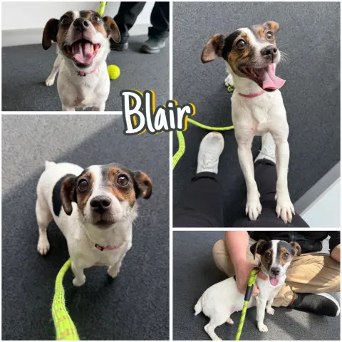 Blair
