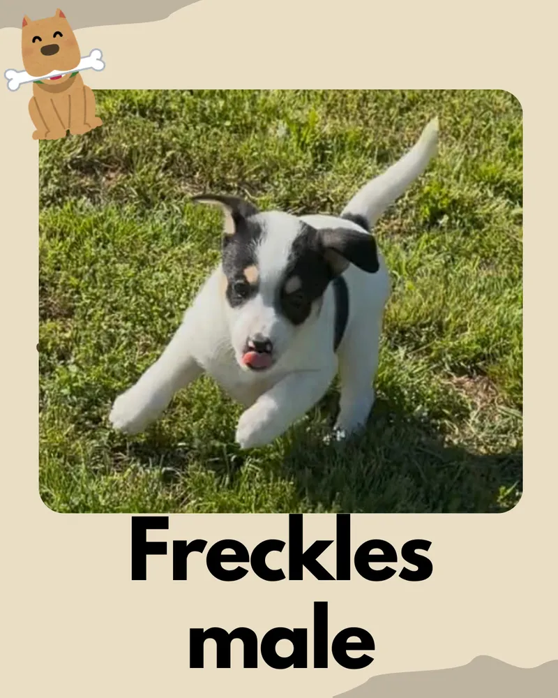 Freckles - Photo 1