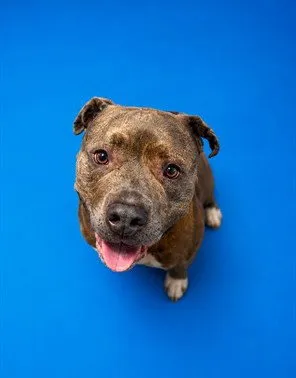 Ziggy Smalls - Photo 1
