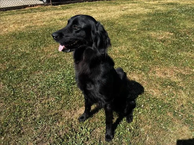 Rylo - Photo 1