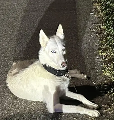 Luna