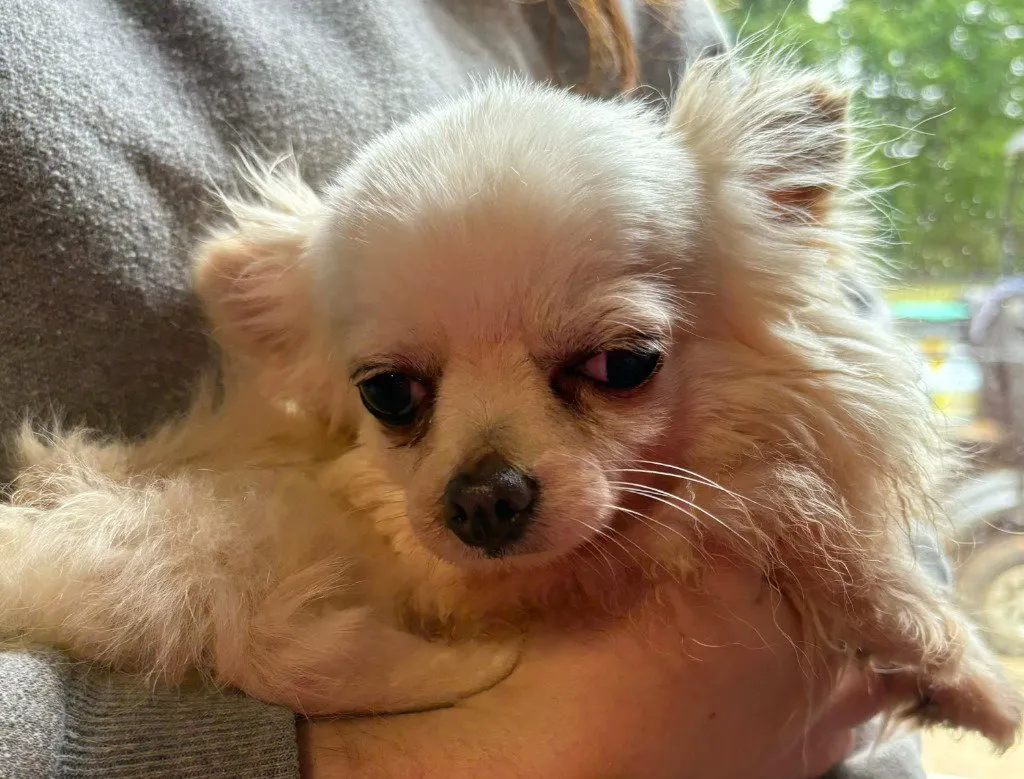Polly - Photo 1