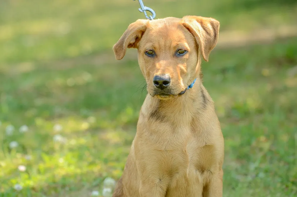 Rookie - Photo 1