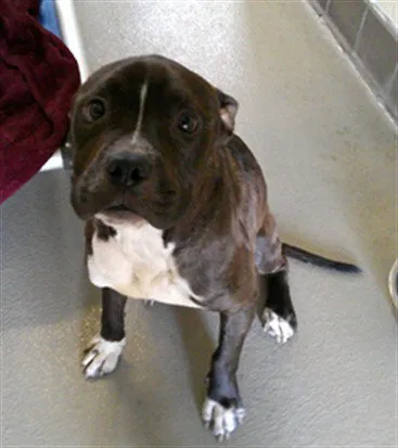 Grover - Photo 1