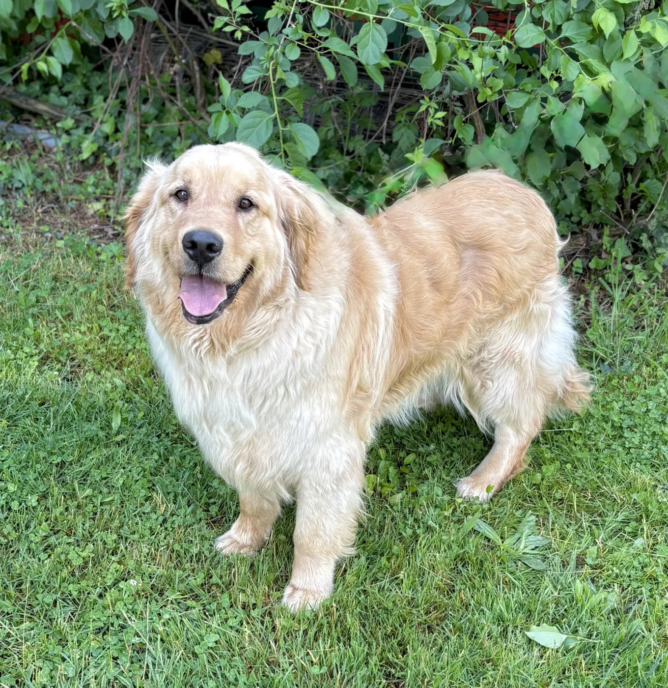 Sully - Photo 1