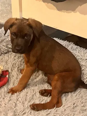 Bruce