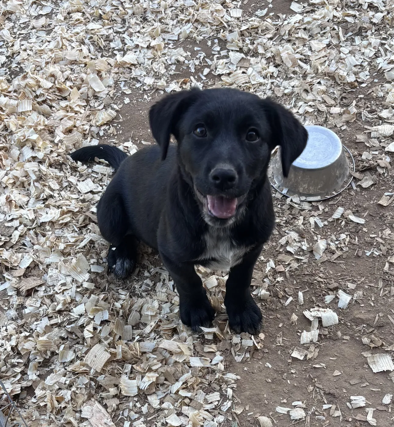 Zeus - Photo 1
