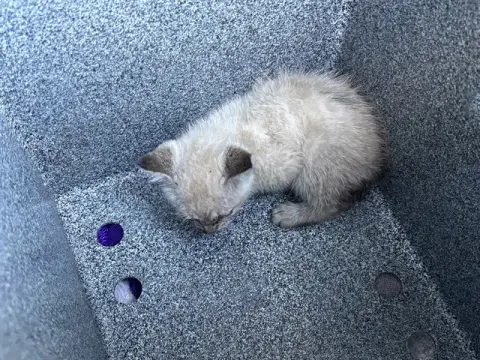Milo