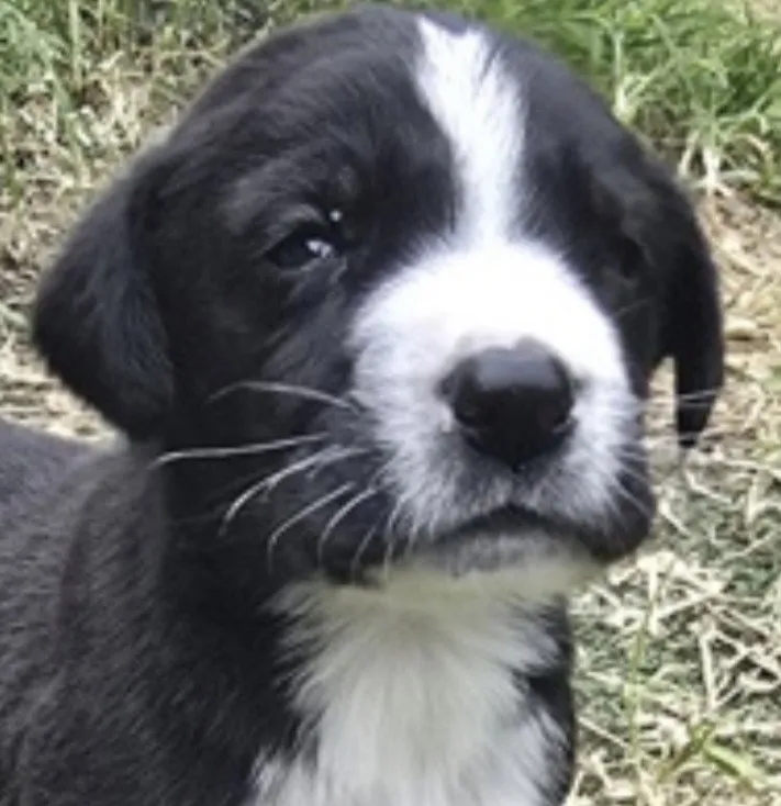 Zeus - Photo 1
