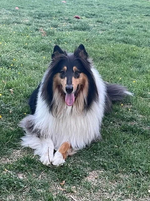 Zuki - Photo 1