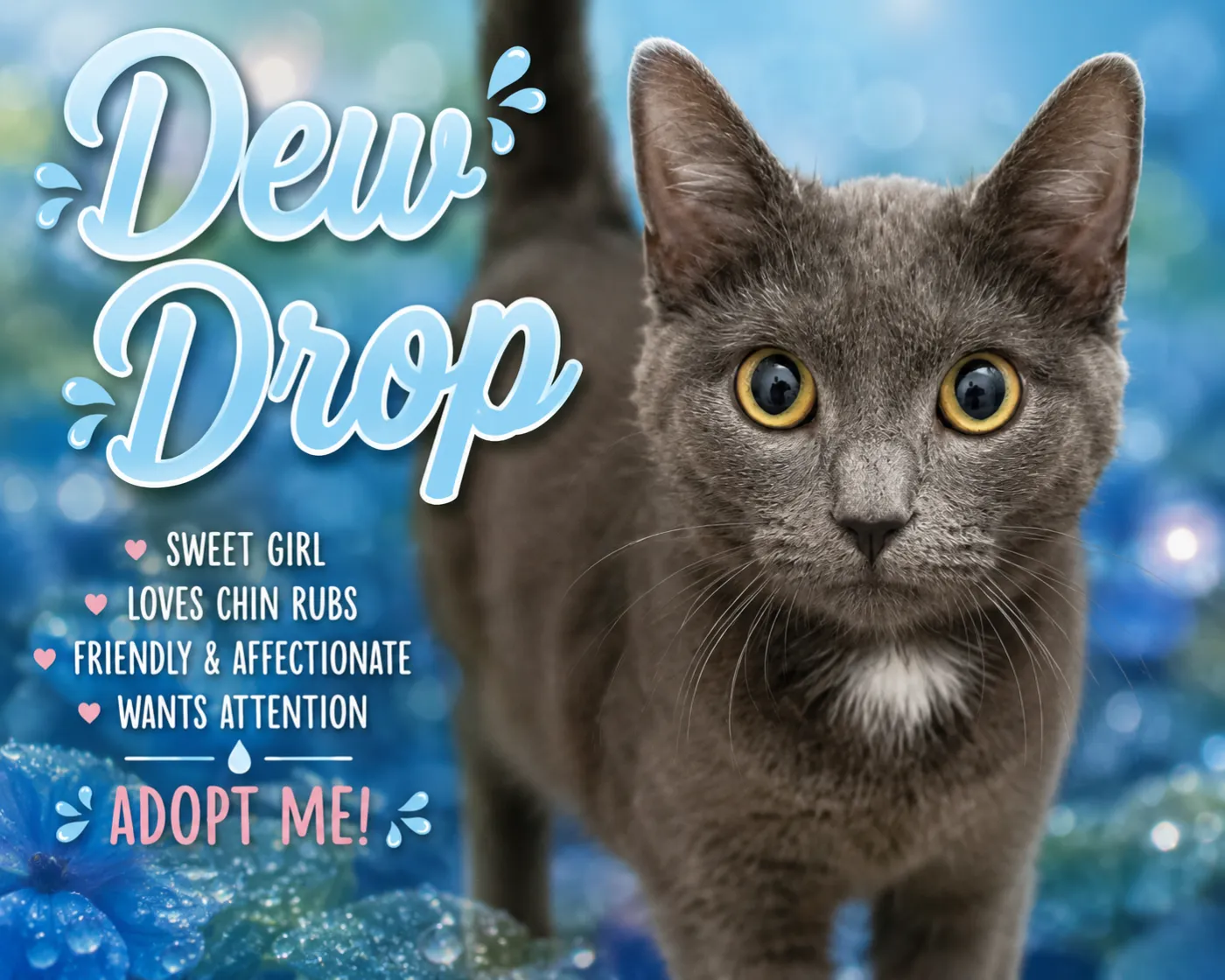 Dew Drop - Photo 1