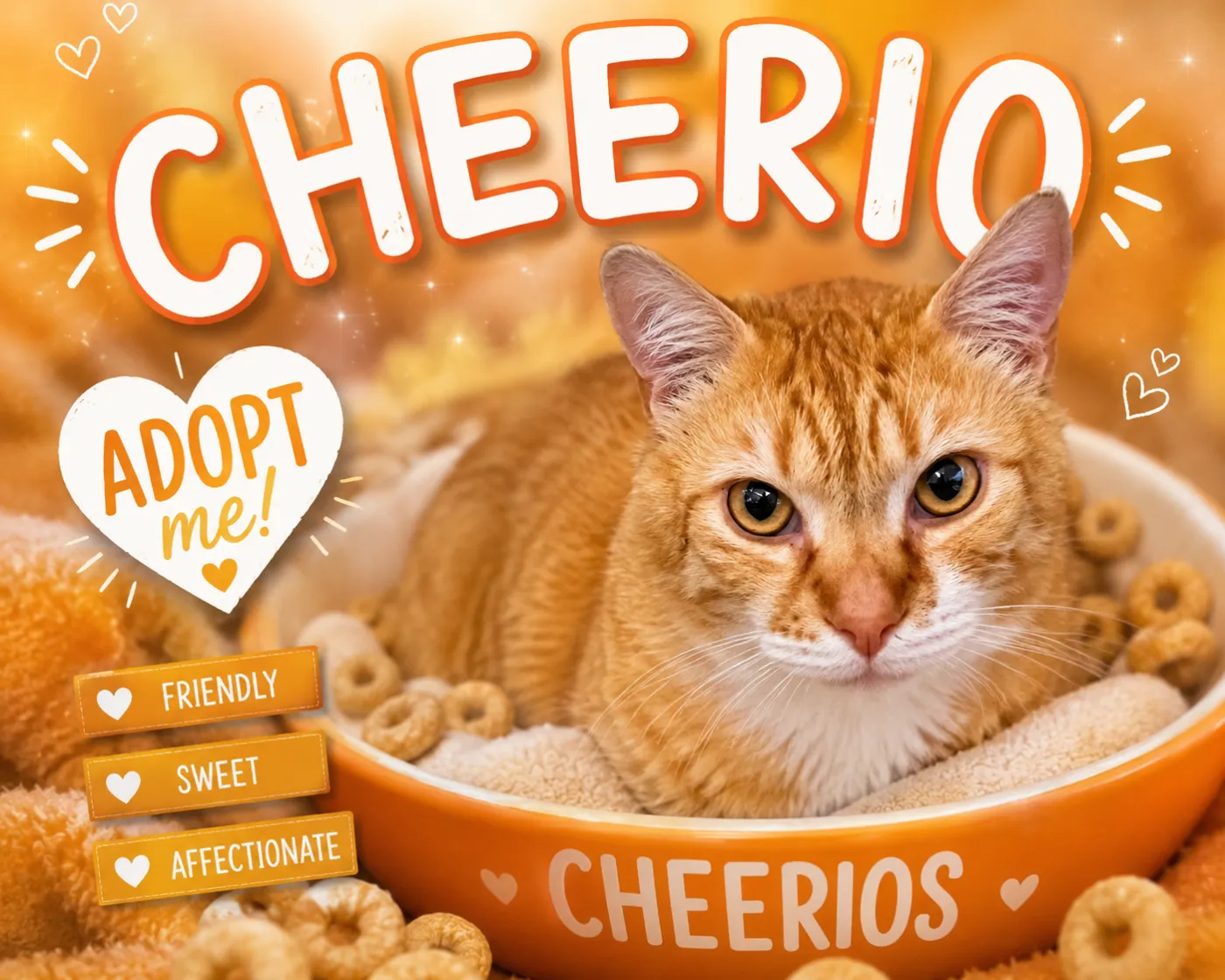Cheerio - Photo 1