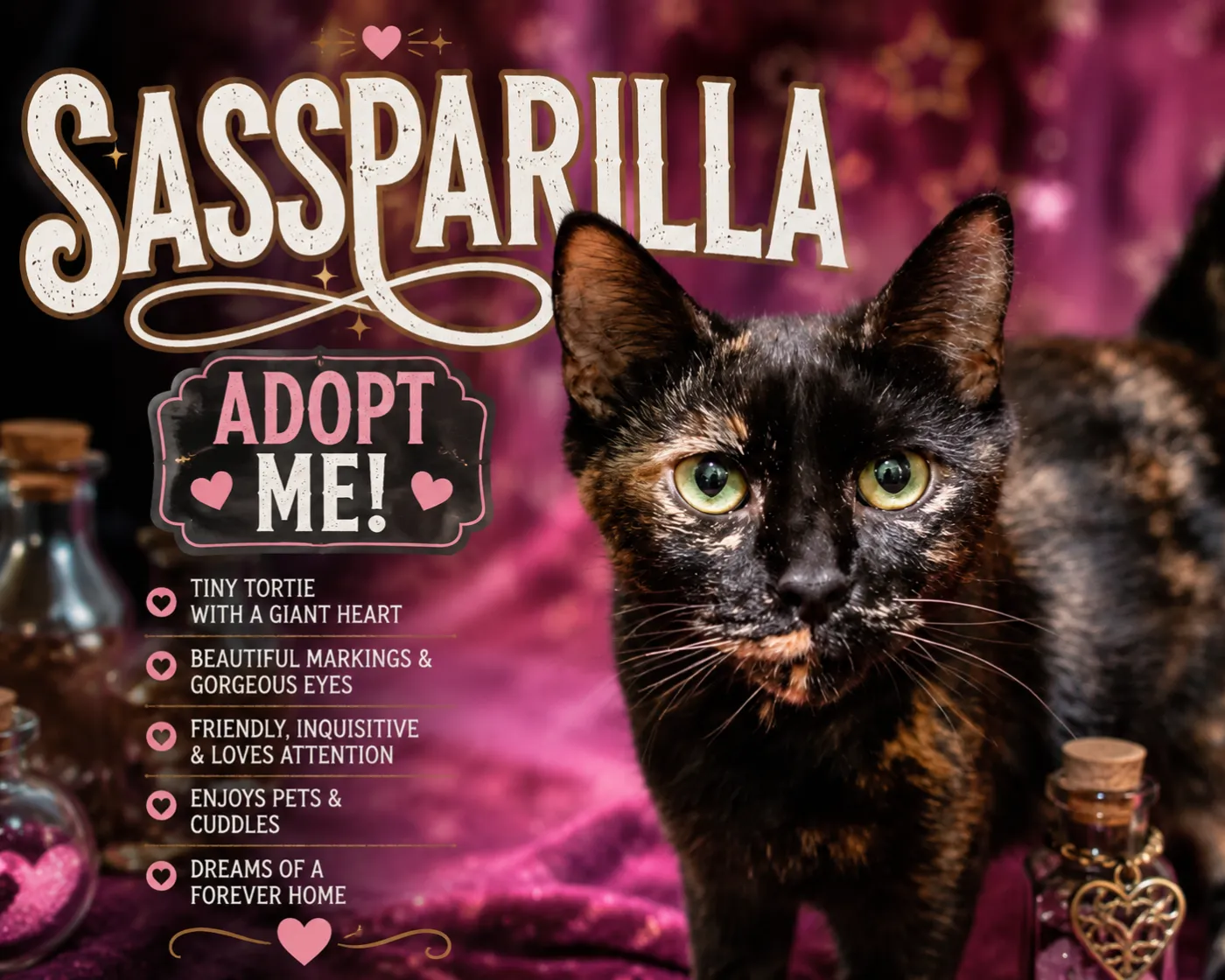 Sassparilla - Photo 1