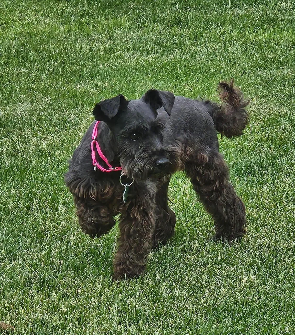 Annie - Photo 1