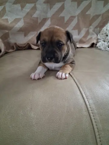 Rory
