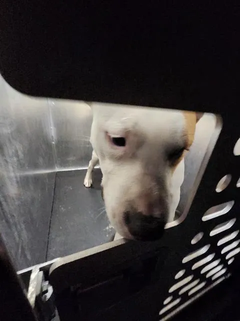 Zeus - Photo 1