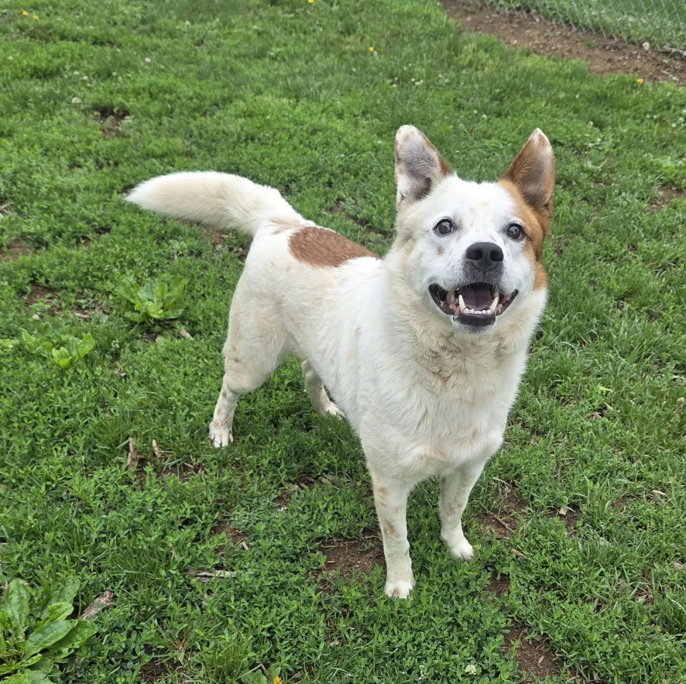 Hudson - Photo 1