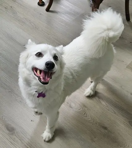 Bonnie