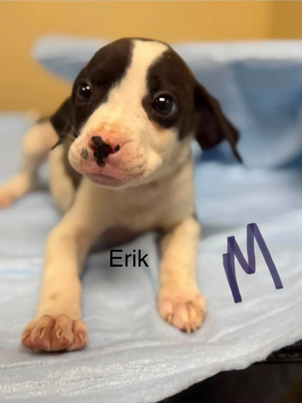 Erik - Photo 1
