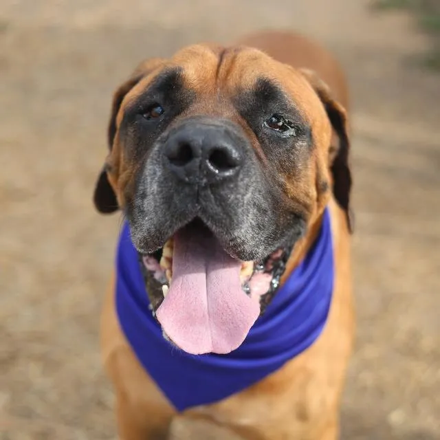 Roscoe - Photo 1