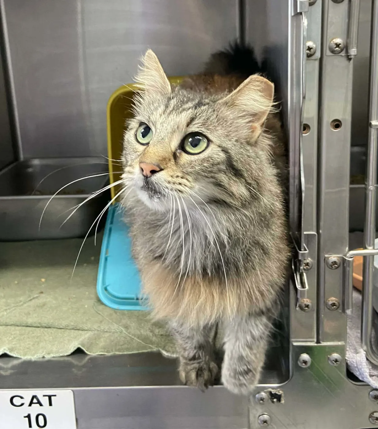 Cattywampus - Photo 1