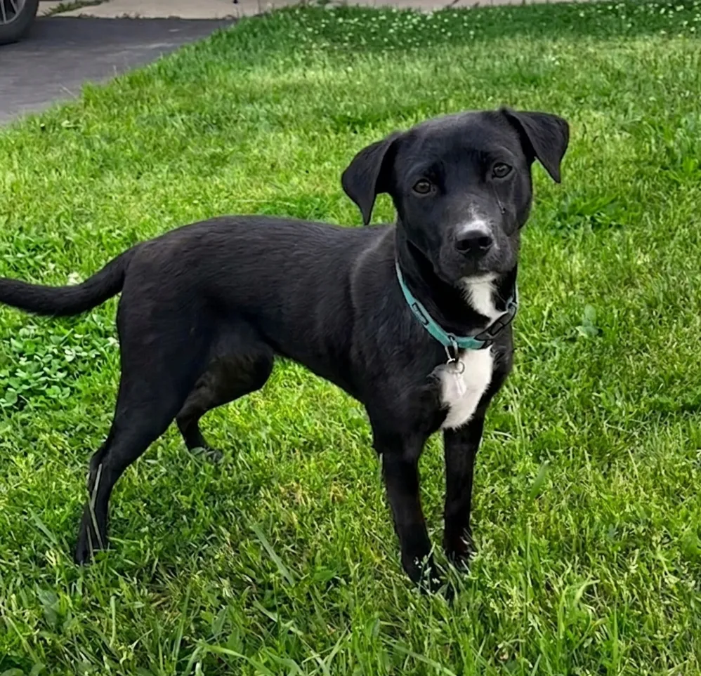 Maggie - Photo 1