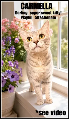 Carmela