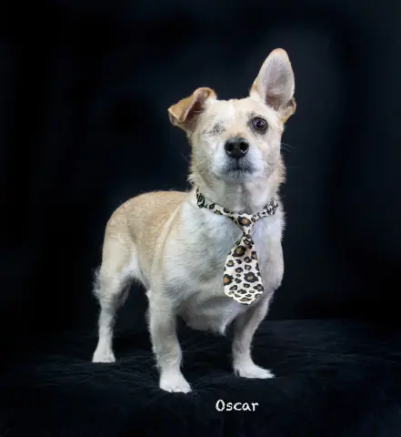 Oscar
