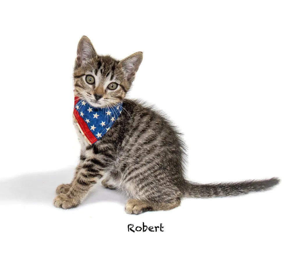 Robert - Photo 1