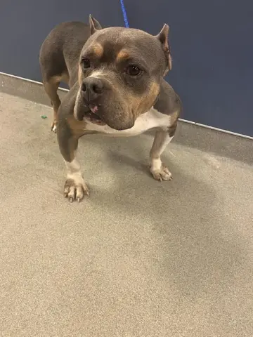 Chloe