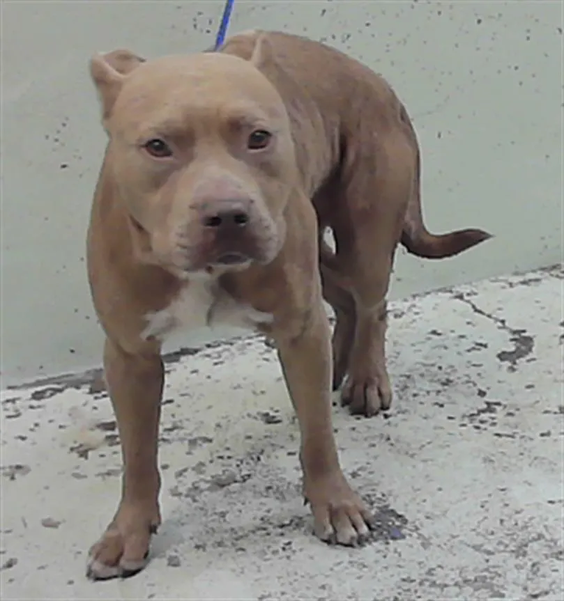 Bronx - Photo 1