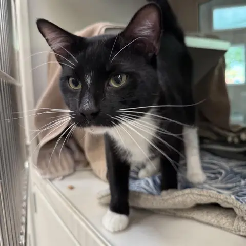 Jax