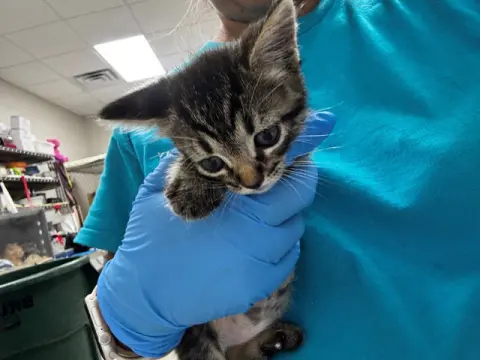 Milo