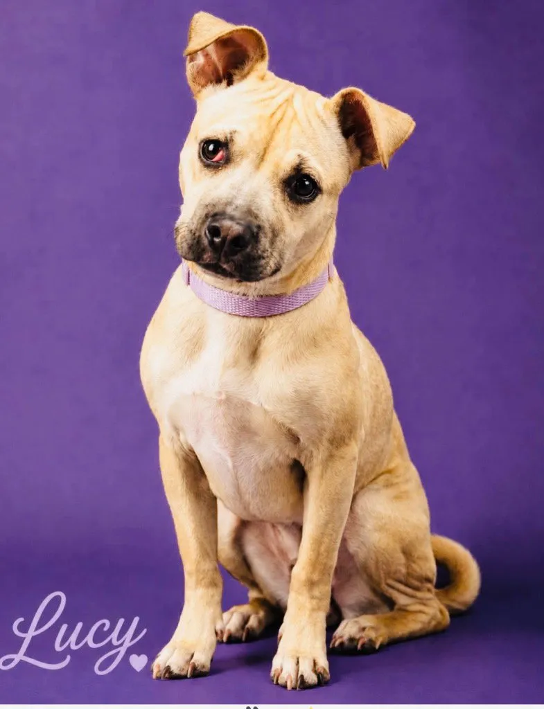 Lucy Lou - Photo 1