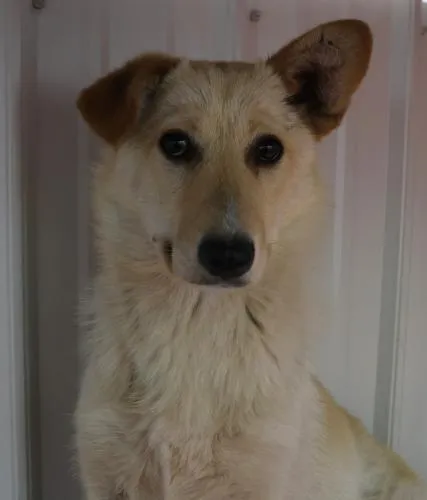 Margo - Photo 1