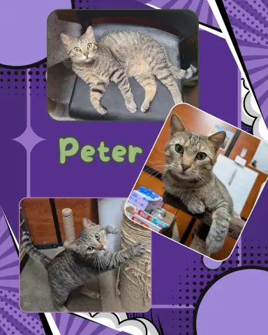 Peter