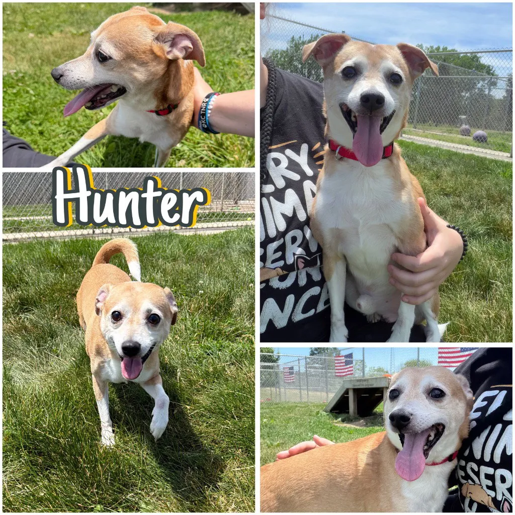 Hunter - Photo 1