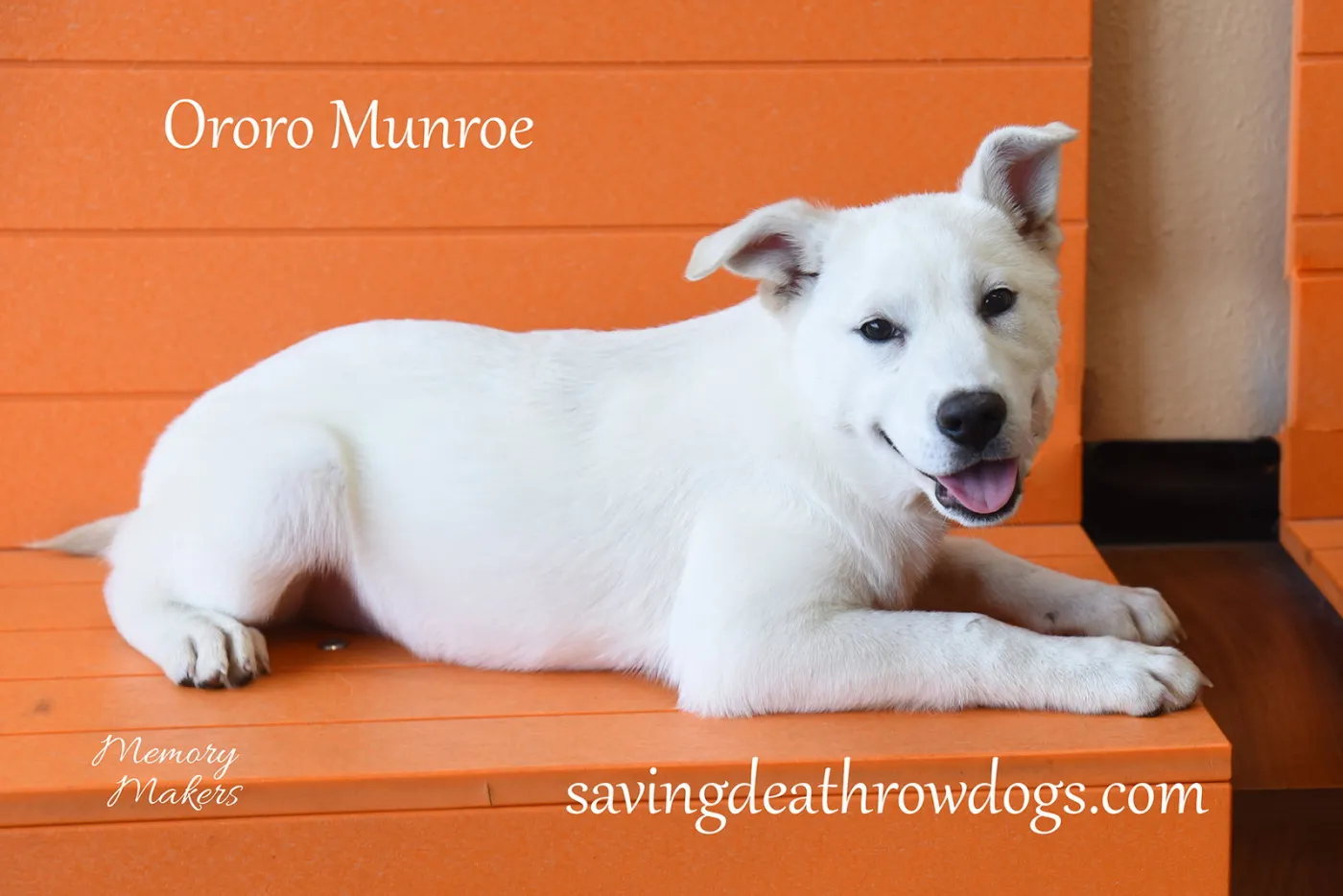 Ororo Munroe - Photo 1