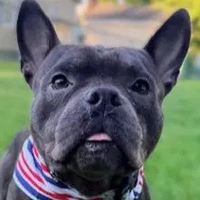 Benny