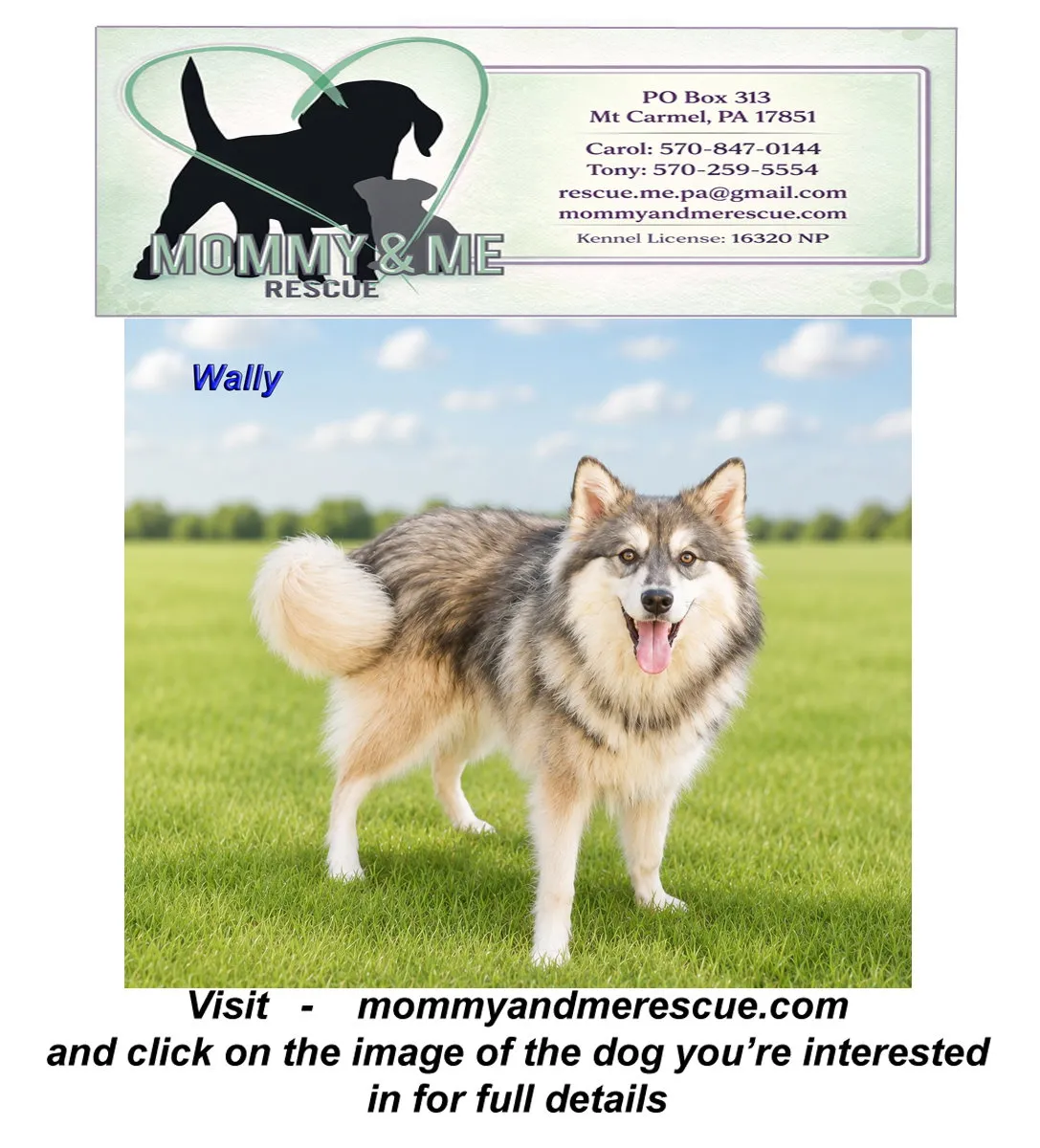 Wally - Photo 1