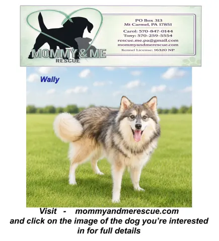 Wally
