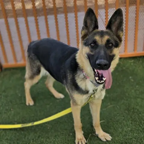 Luna