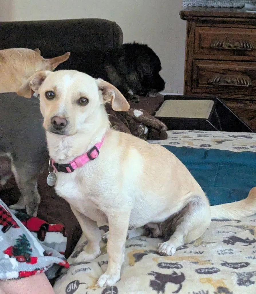 Macie - Photo 1