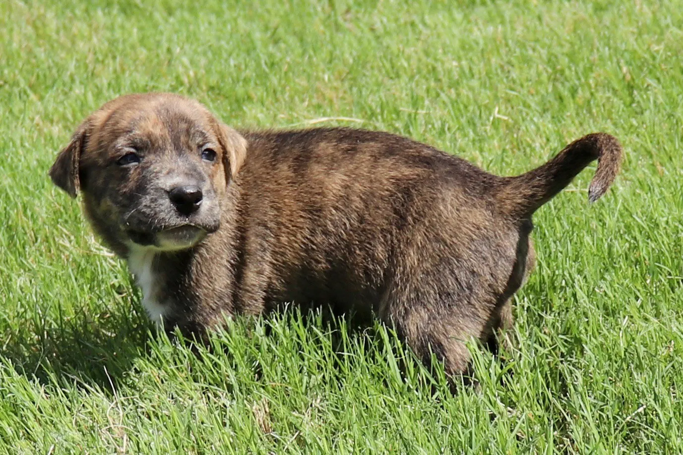 Zeus - Photo 1