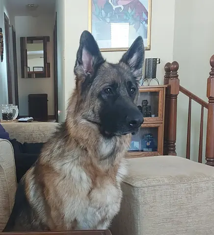 Ruby
