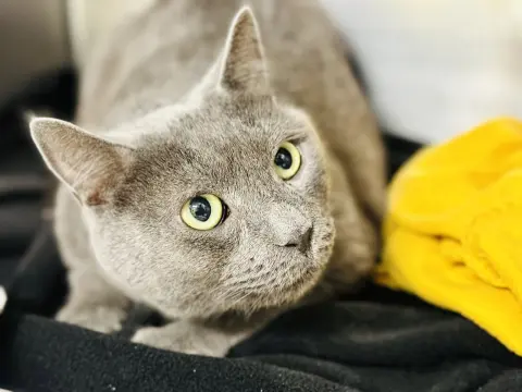 Jax