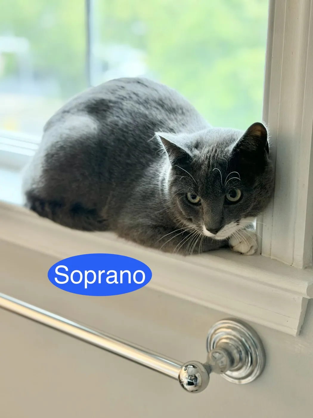 Soprano - Photo 1