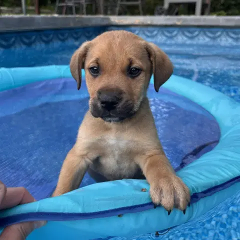 Jack