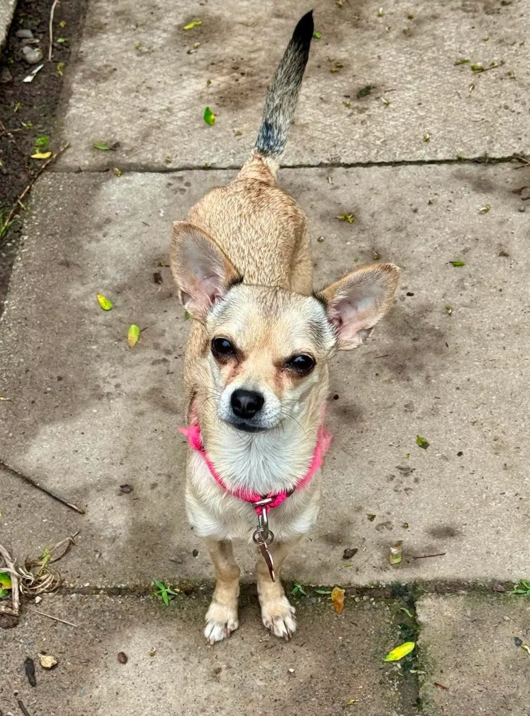 Maya - Photo 1