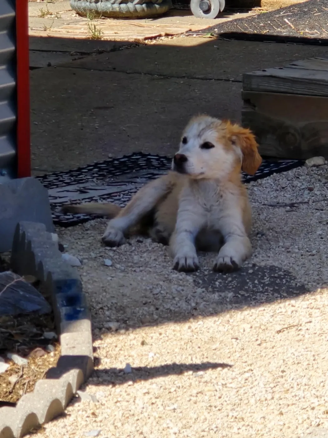 Tessie - Photo 1